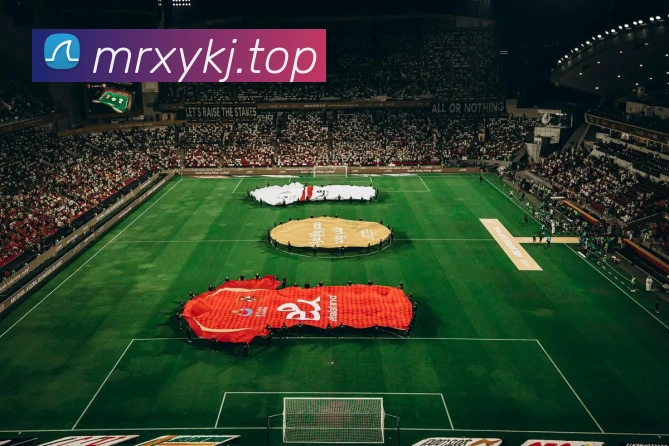 必一运动平台生态图